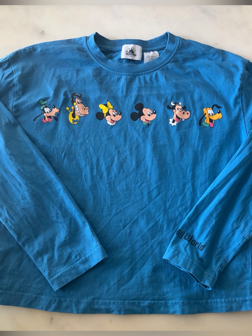 WDW Disney Mickey Mouse & Friends Blue Crewneck Long Sleeve Tee